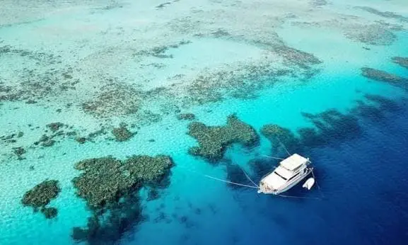 Ozaria Island