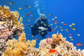 Scuba Diving Red Sea Hurghada
