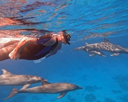 Red Sea diving experience Aquaway