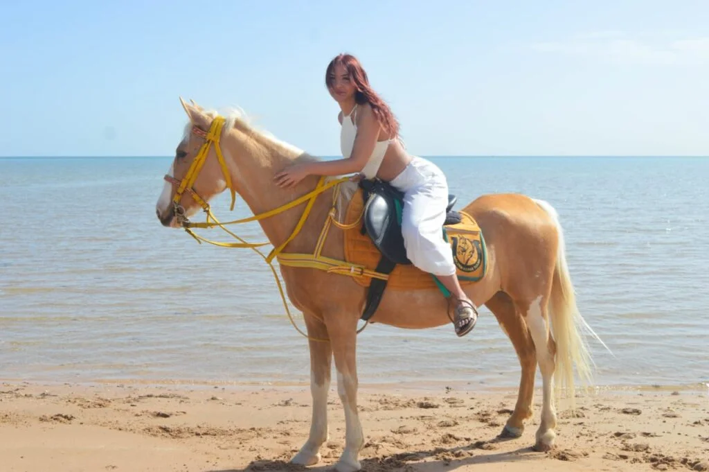 Horse riding on Hurghada beach Red Sea