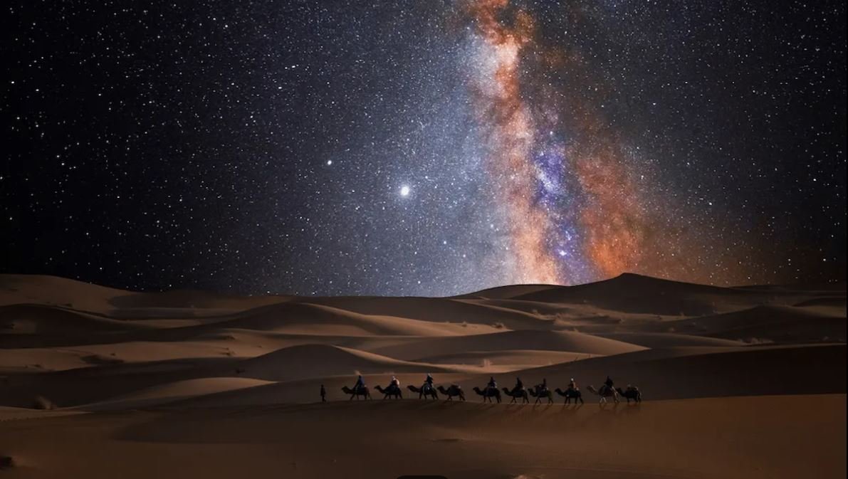 Safari Stars