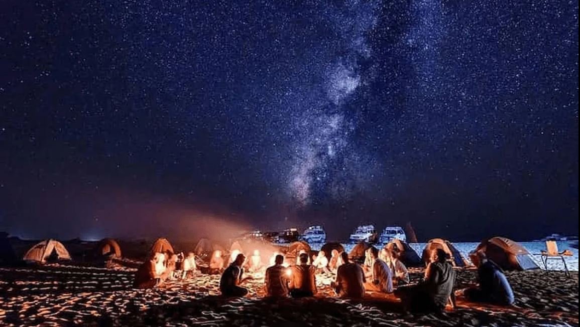 Safari Stars